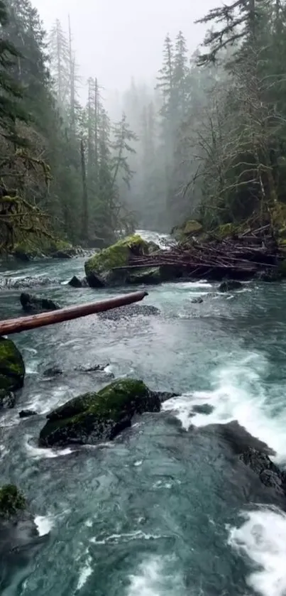 Misty forest river with mossy rocks in a serene landscape.