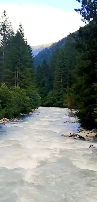 A serene view of a river flowing through a lush green forest under a clear sky.