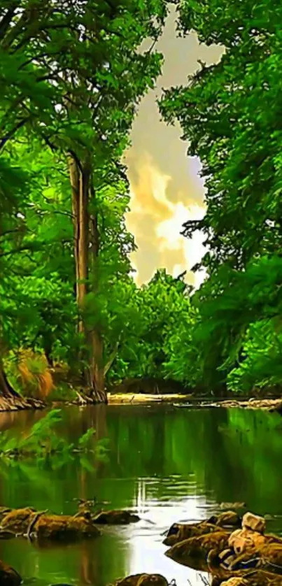 Serene forest river with lush green trees and calm waters.