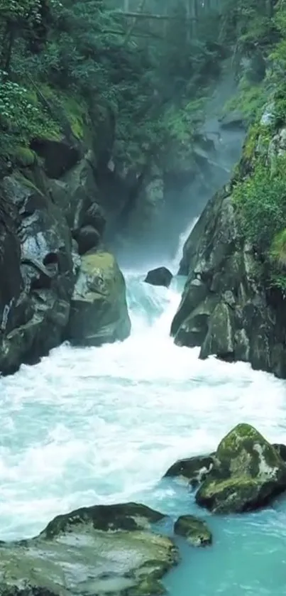 Tranquil forest river with lush greenery and flowing water in the background.