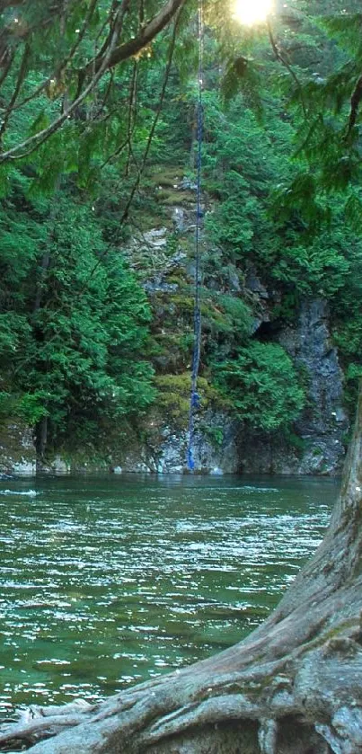 Serene river and forest mobile wallpaper with lush green trees.