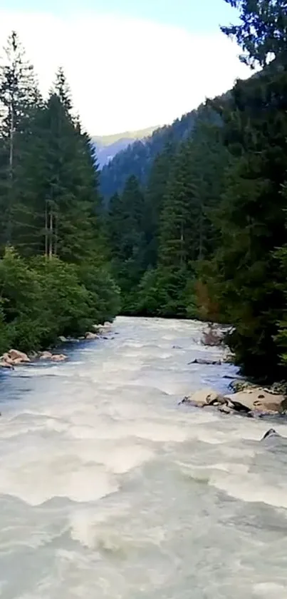 Serene river flowing through lush green forest in a mountain landscape.