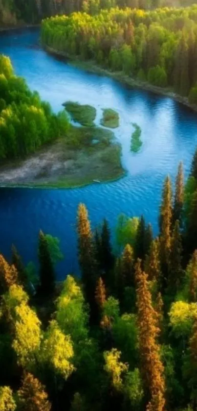 Serene forest river with lush greenery and a winding blue river.