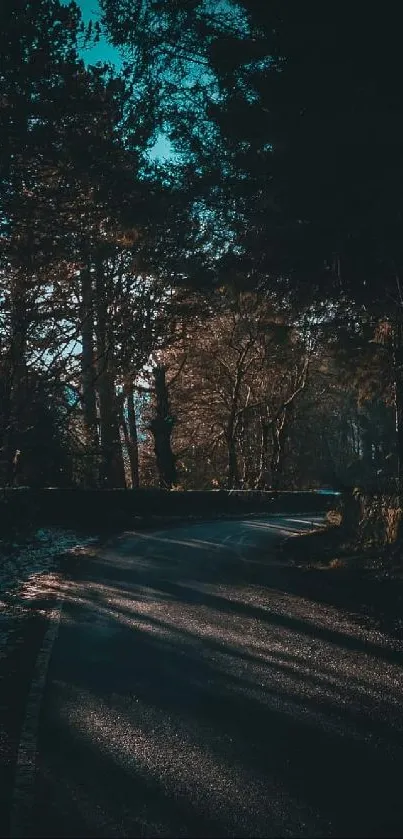 Serene forest road at dusk with blue shadows.