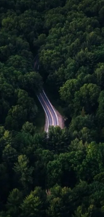 Winding road through lush green forest.