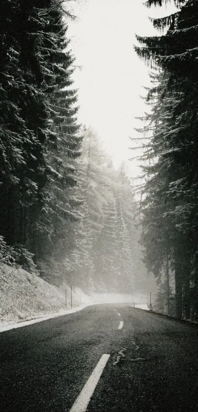 Serene snowy forest road under misty sky wallpaper.