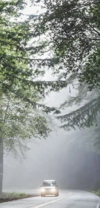 Car driving through a misty forest road.