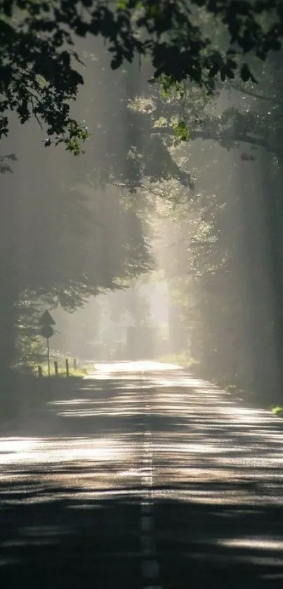 Serene sunlit forest road wallpaper with lush greenery.