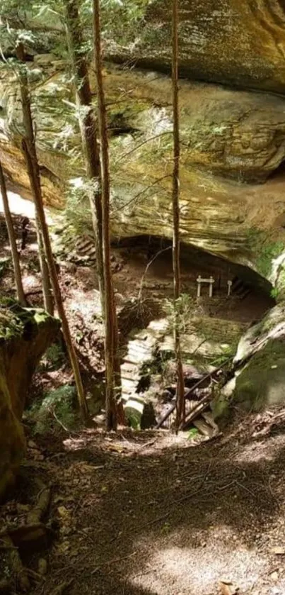 Serene forest path leading to a hidden cave