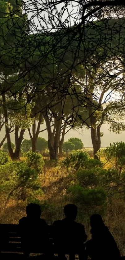 Silhouette of people sitting in a lush green forest landscape.