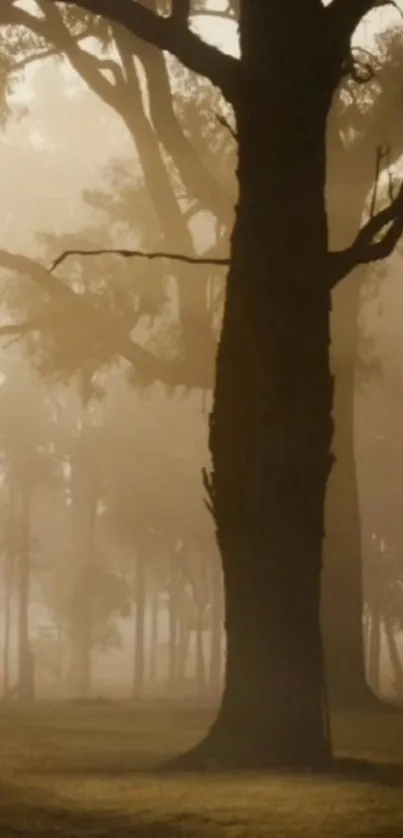 Misty morning forest silhouette in earthy tones.