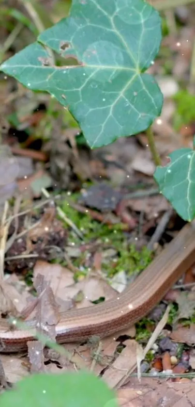 Snake slithering through green forest leaves on the forest floor.