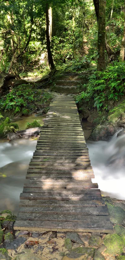 A tranquil forest stream with a rustic wooden bridge surrounded by lush greenery.