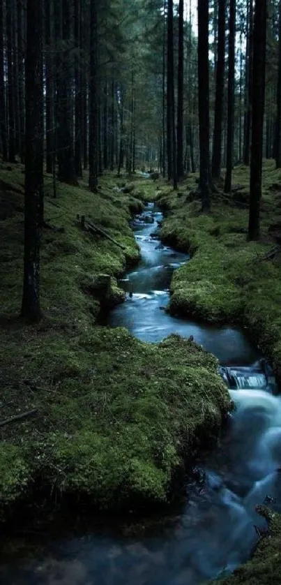 Serene forest stream flowing through lush green woodland.