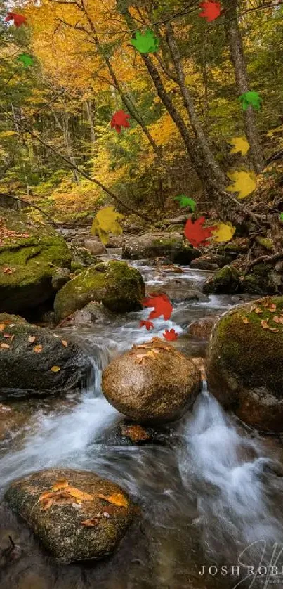 Peaceful forest stream with autumn leaves and mossy rocks.