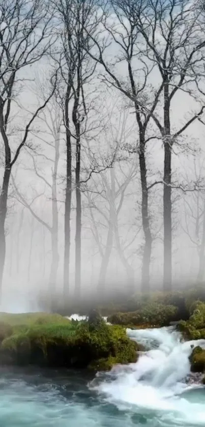 Serene forest stream with misty trees and flowing water in a picturesque setting.