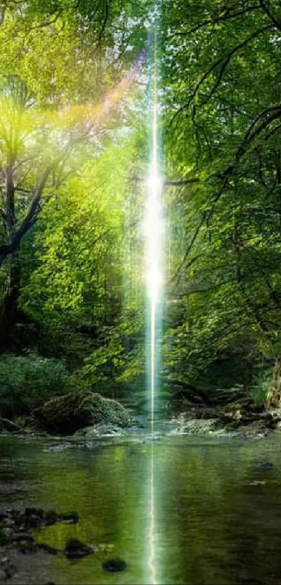 Serene forest scene with sunlit stream, lush greenery, and tranquil atmosphere.