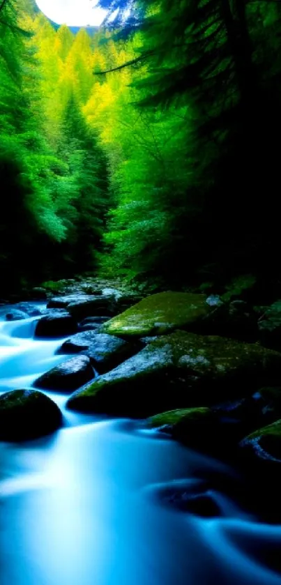 Serene forest stream under moonlight with lush greenery and tranquil water.