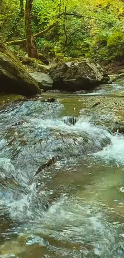 Tranquil forest stream with lush greenery and flowing water.