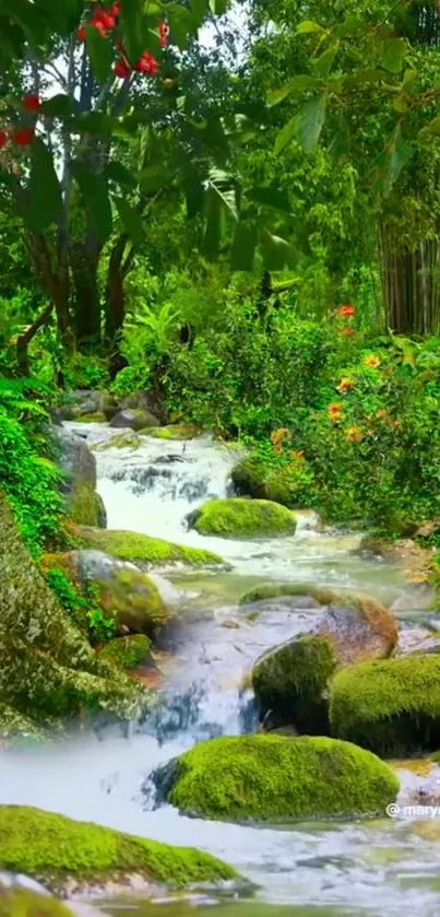 Lush green forest with a flowing stream and moss-covered rocks.