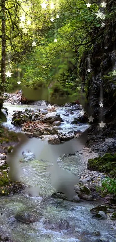 A tranquil forest stream with lush greenery and gentle water flow under starry skies.