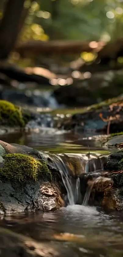 Serene forest stream flowing over mossy rocks with sunlight filtering through trees.