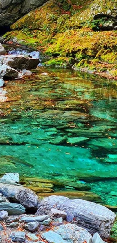 Vibrant forest stream with lush greenery and colorful rocks.