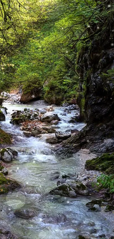 Tranquil forest stream amid lush greenery, perfect for wallpaper.