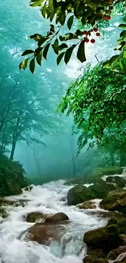 Lush forest stream with green foliage and flowing water.