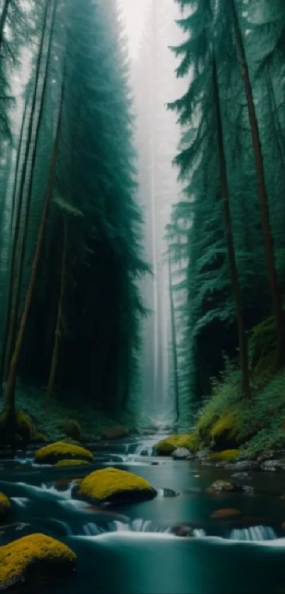 A serene forest stream flows through tall green trees and moss-covered rocks.