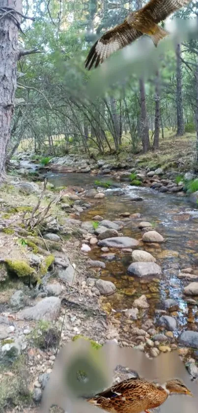 Serene forest stream with birds and greenery in captivating scenery.