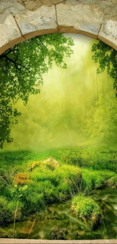 Serene forest view through stone arch with lush green landscape.