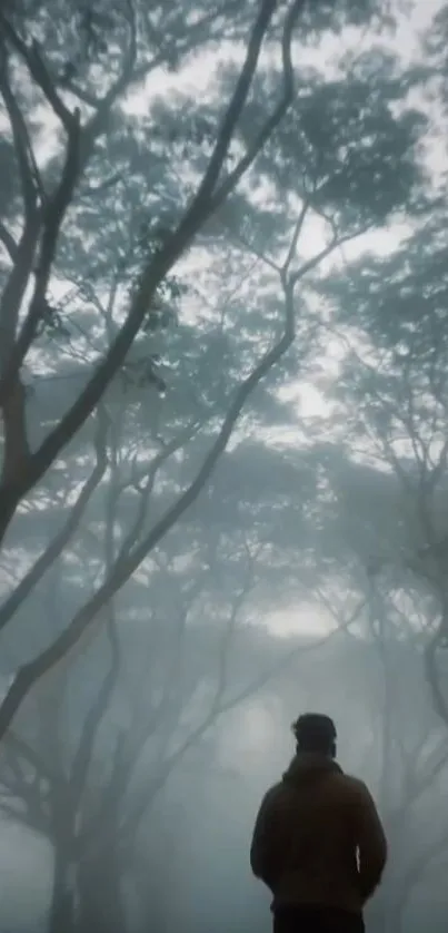 Misty forest with a person walking, silhouetted by tall trees.