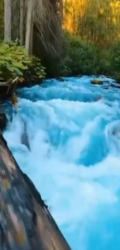 Serene blue stream flowing through a lush forest landscape.