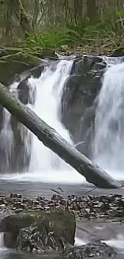 Serene waterfall in lush green forest with a fallen log.