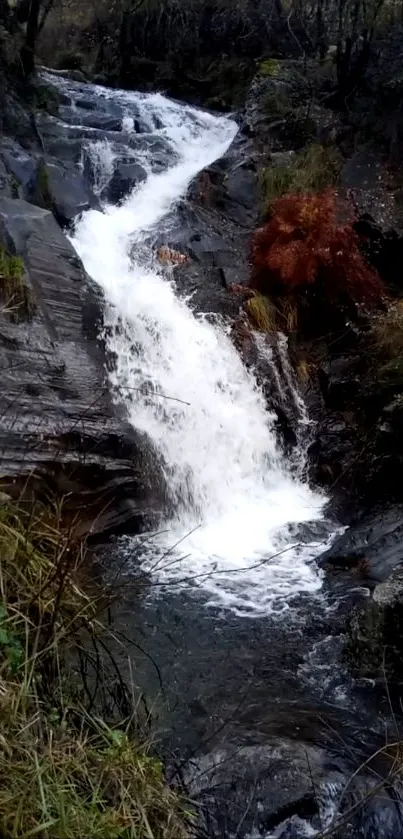 A serene waterfall in a lush forest setting with cascading water over rocks.