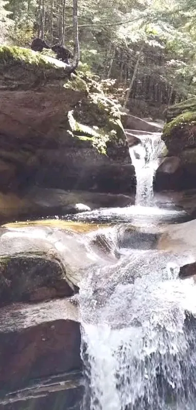 Tranquil waterfall in lush green forest setting.