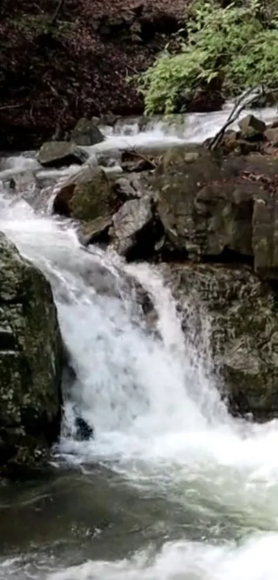 A serene forest waterfall with lush greenery and cascading water.