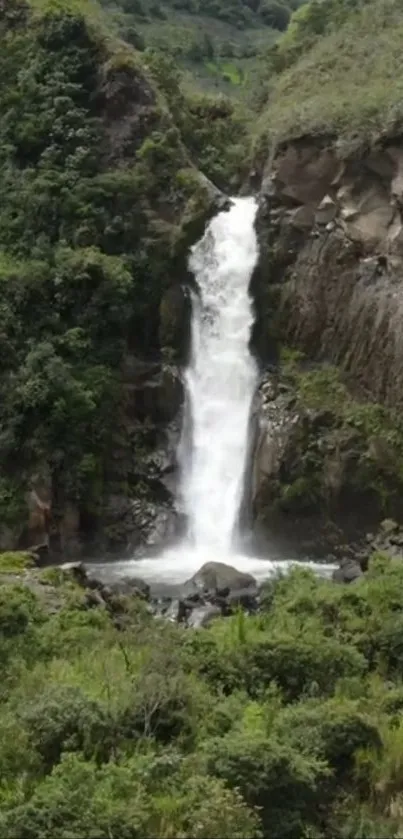 Serene waterfall in a lush green forest landscape.