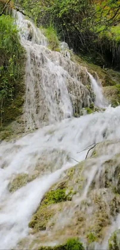 Serene waterfall cascading over mossy rocks surrounded by green foliage.