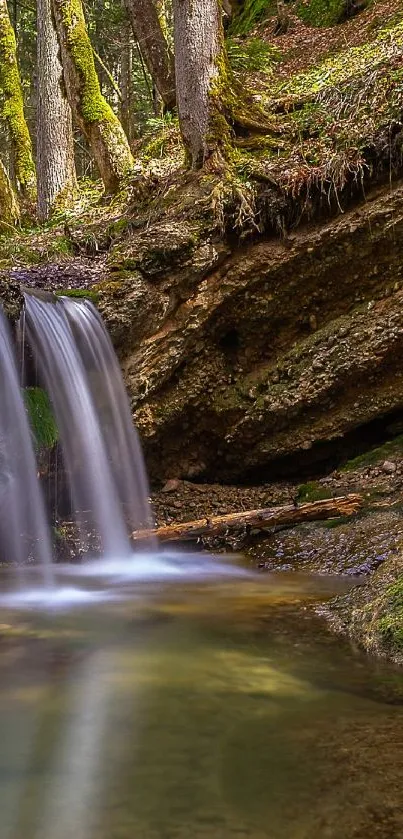 Serene forest waterfall cascading gently over rocks.