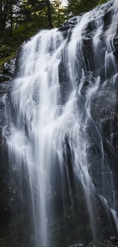 Majestic waterfall in lush forest setting.