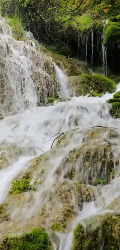 A serene waterfall cascading over mossy rocks in a lush forest setting.