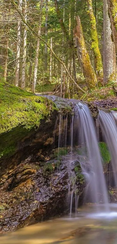 Serene waterfall in lush green forest wallpaper.