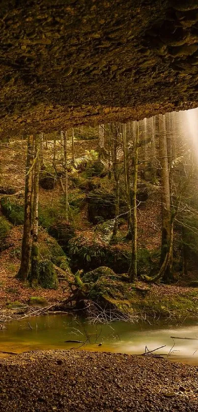 Serene forest waterfall scene with lush greenery.