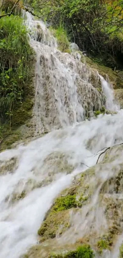 Waterfall cascading over mossy rocks in a serene nature setting.