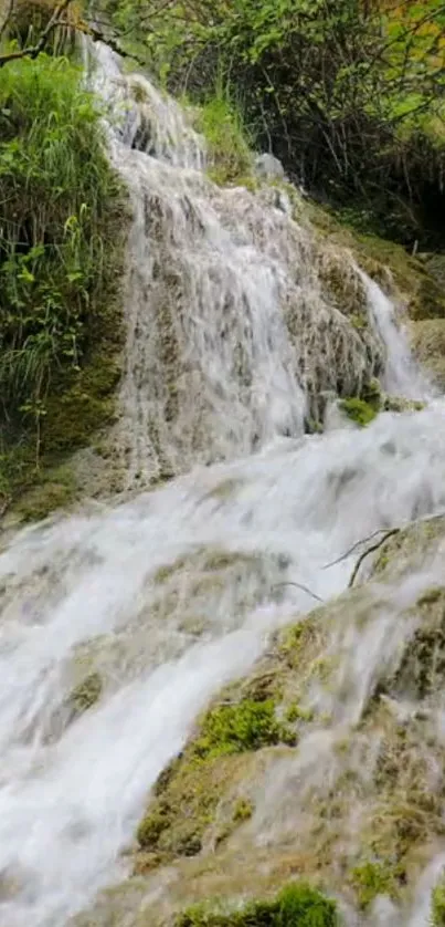 Serene waterfall flowing through lush green forest.