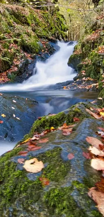 Serene waterfall surrounded by lush moss and autumn leaves in a forest setting.