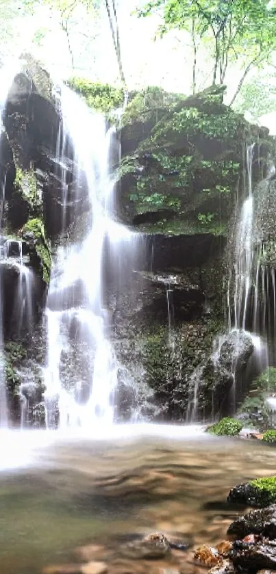 Serene forest waterfall with lush greenery and cascading water.