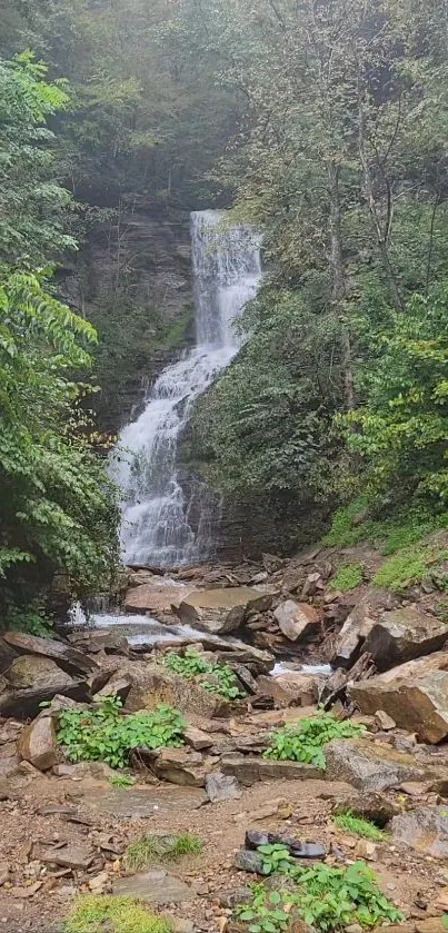 Serene waterfall in lush green forest - mobile wallpaper.